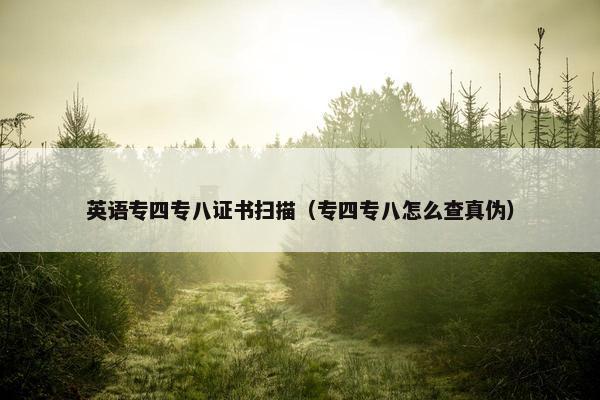 英语专四专八证书扫描（专四专八怎么查真伪）