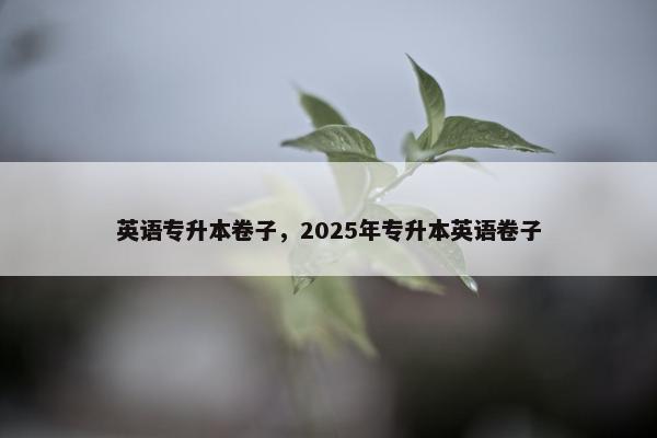 英语专升本卷子，2025年专升本英语卷子