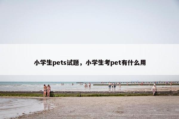 小学生pets试题，小学生考pet有什么用
