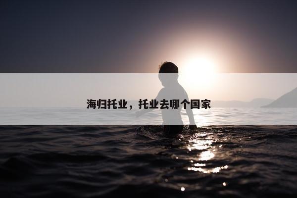 海归托业，托业去哪个国家