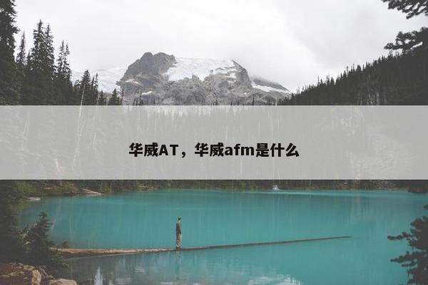 华威AT，华威afm是什么