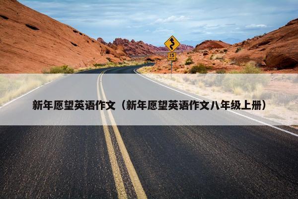 新年愿望英语作文（新年愿望英语作文八年级上册）
