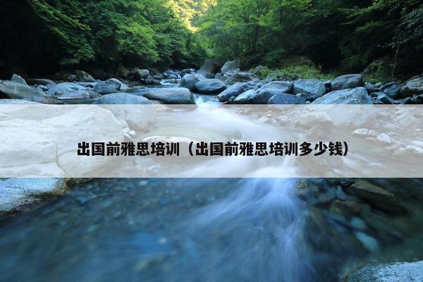 出国前雅思培训（出国前雅思培训多少钱）