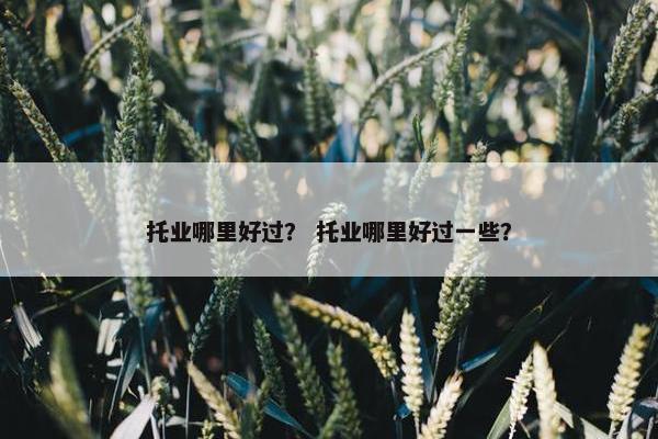 托业哪里好过？ 托业哪里好过一些？