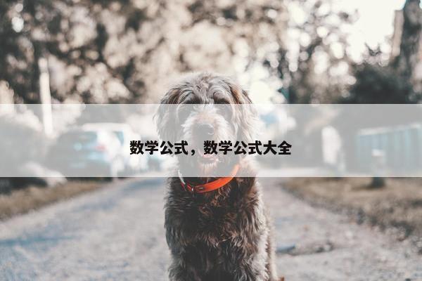 数学公式，数学公式大全
