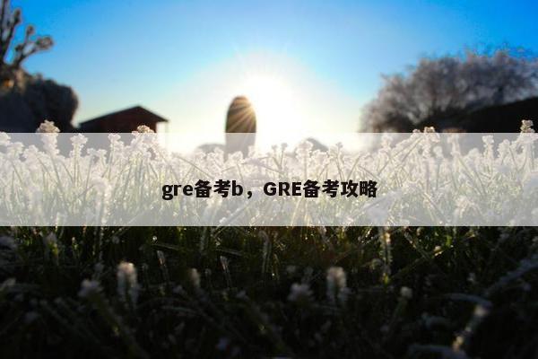 gre备考b，GRE备考攻略