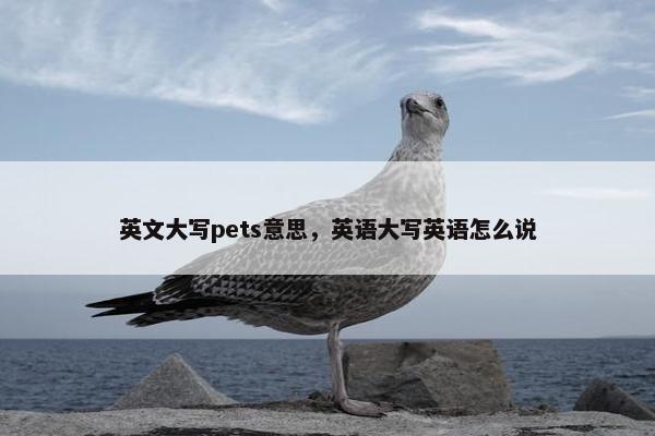 英文大写pets意思，英语大写英语怎么说