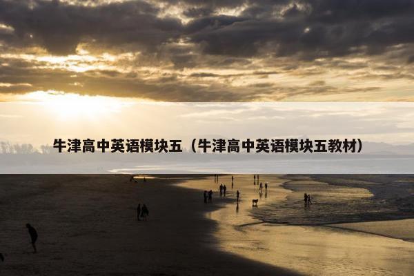 牛津高中英语模块五（牛津高中英语模块五教材）