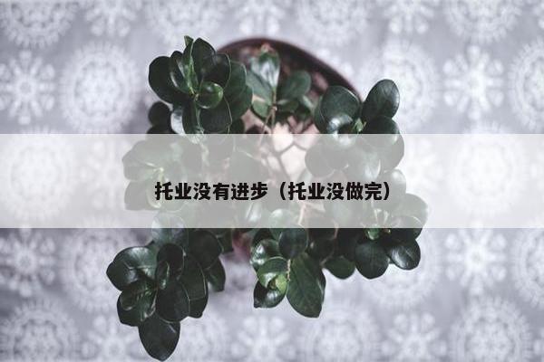托业没有进步（托业没做完）