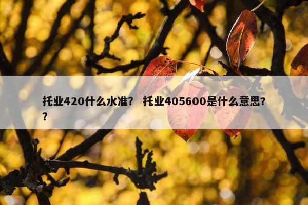 托业420什么水准？ 托业405600是什么意思?？