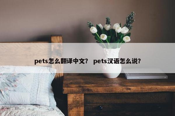 pets怎么翻译中文？ pets汉语怎么说？