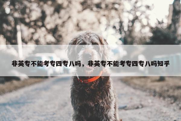 非英专不能考专四专八吗，非英专不能考专四专八吗知乎