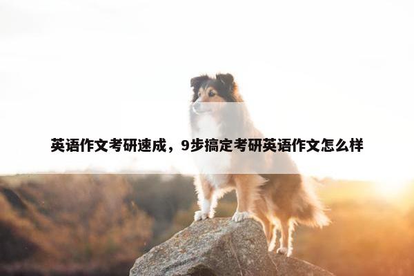 英语作文考研速成，9步搞定考研英语作文怎么样