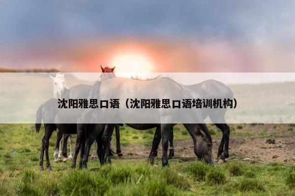 沈阳雅思口语（沈阳雅思口语培训机构）