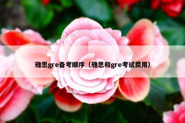 雅思gre备考顺序（雅思和gre考试费用）