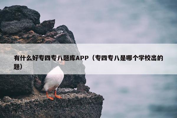 有什么好专四专八题库APP（专四专八是哪个学校出的题）