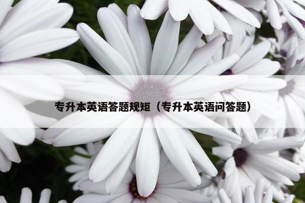 专升本英语答题规矩（专升本英语问答题）