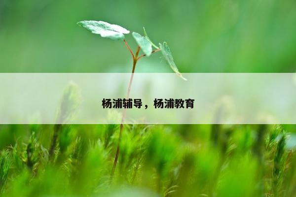 杨浦辅导，杨浦教育