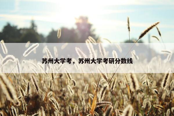 苏州大学考，苏州大学考研分数线