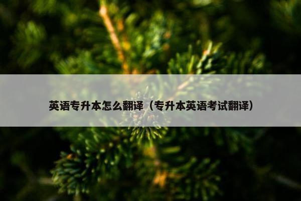 英语专升本怎么翻译（专升本英语考试翻译）