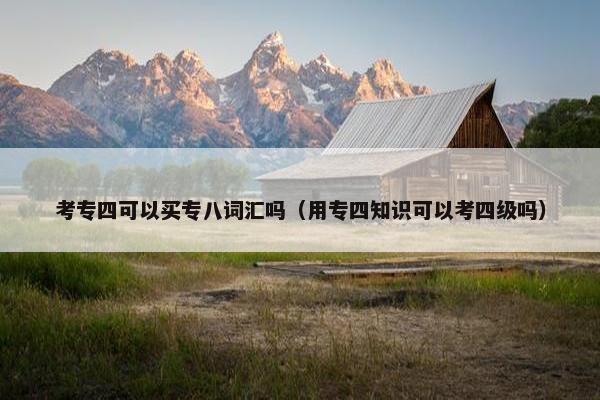 考专四可以买专八词汇吗（用专四知识可以考四级吗）