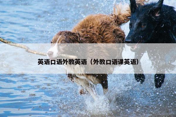 英语口语外教英语（外教口语课英语）