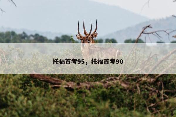 托福首考95，托福首考90