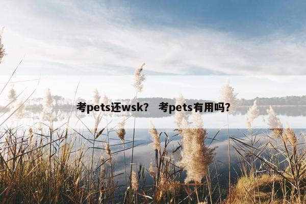 考pets还wsk？ 考pets有用吗？