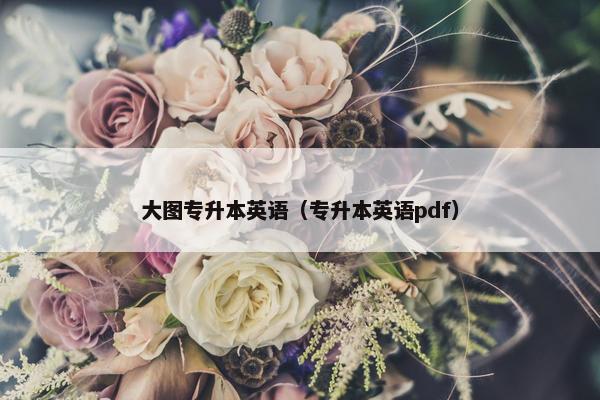 大图专升本英语（专升本英语pdf）