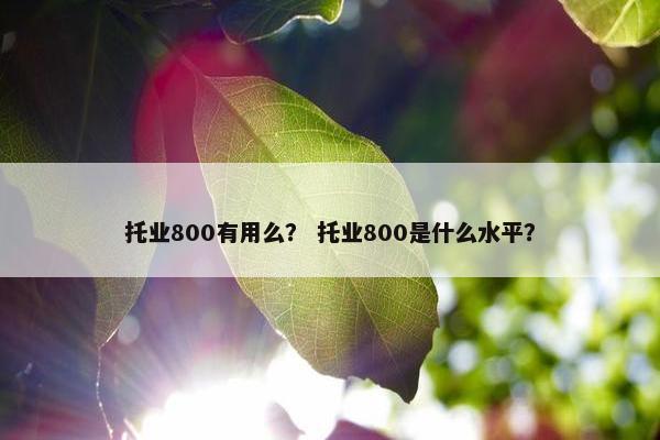 托业800有用么？ 托业800是什么水平？