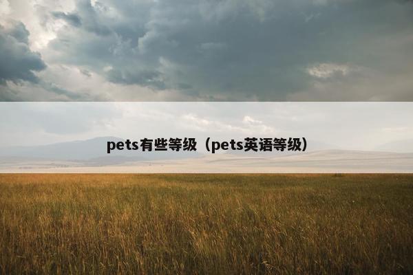 pets有些等级（pets英语等级）