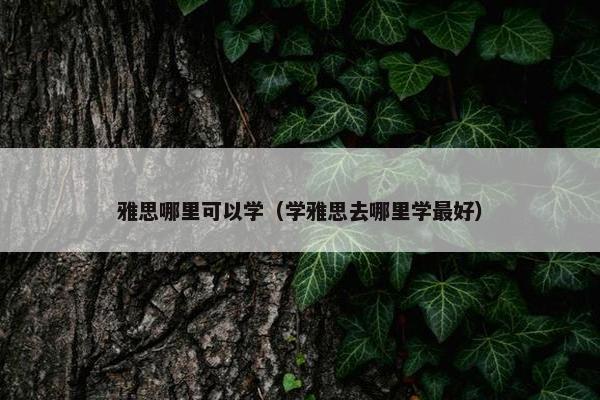 雅思哪里可以学（学雅思去哪里学最好）