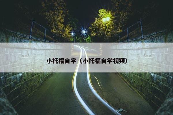 小托福自学（小托福自学视频）