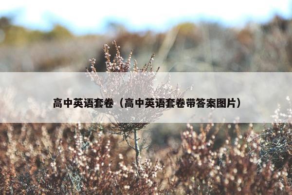 高中英语套卷（高中英语套卷带答案图片）