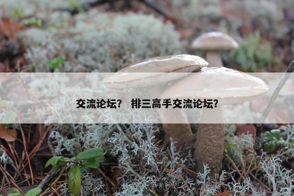 交流论坛？ 排三高手交流论坛？