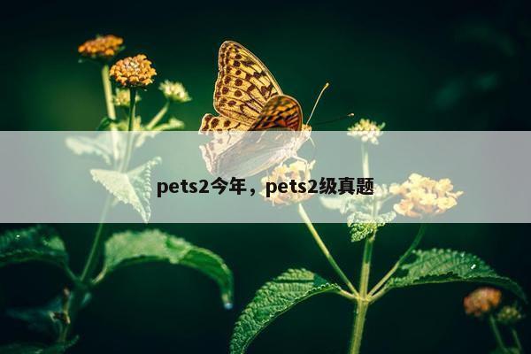 pets2今年，pets2级真题