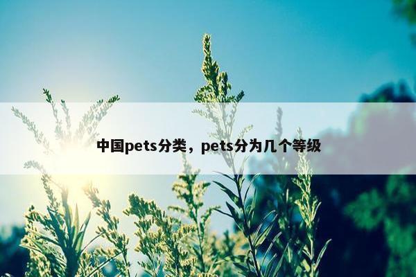 中国pets分类，pets分为几个等级