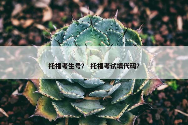 托福考生号？ 托福考试填代码？