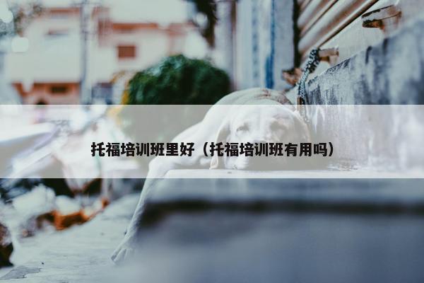 托福培训班里好（托福培训班有用吗）