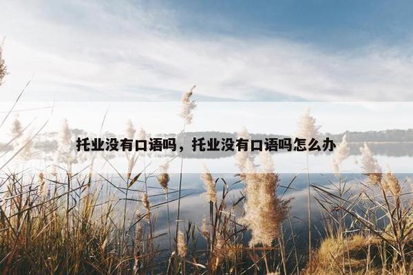 托业没有口语吗，托业没有口语吗怎么办