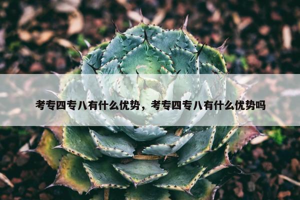 考专四专八有什么优势，考专四专八有什么优势吗