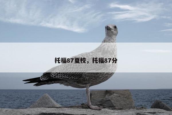 托福87夏校，托福87分