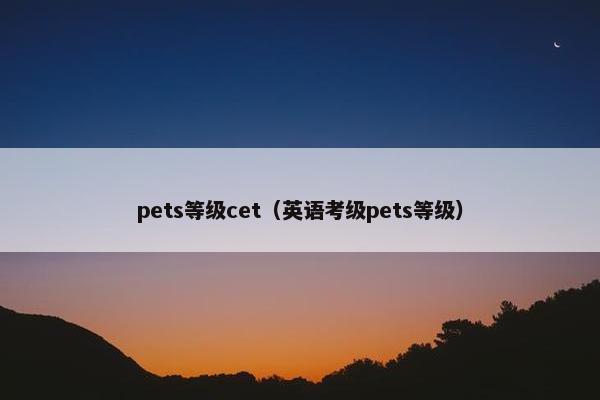 pets等级cet（英语考级pets等级）