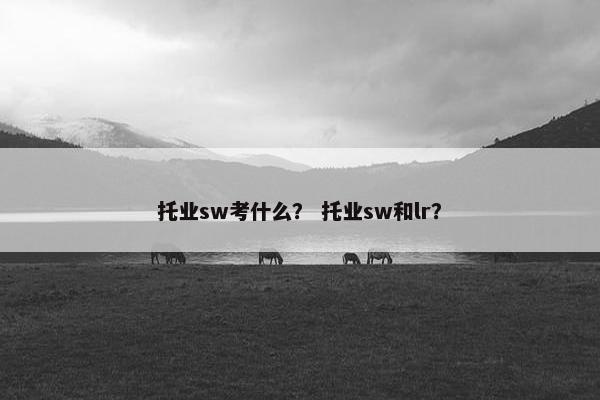 托业sw考什么？ 托业sw和lr？