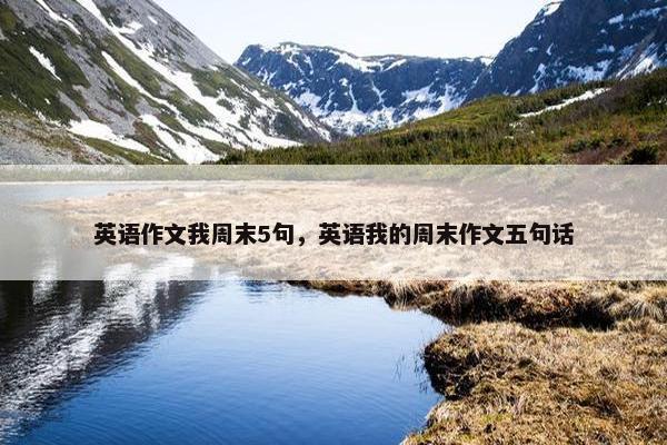 英语作文我周末5句，英语我的周末作文五句话