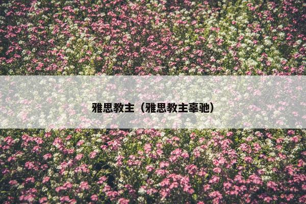 雅思教主（雅思教主辜驰）