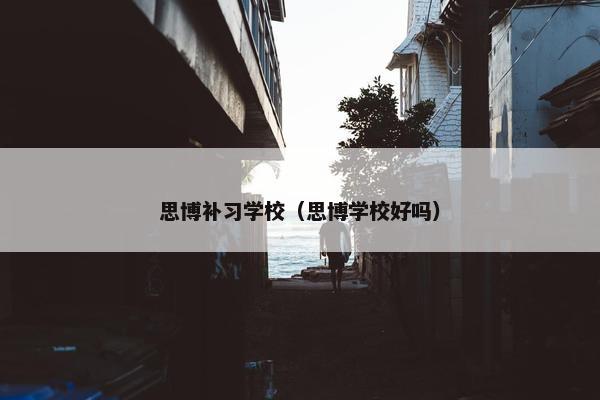 思博补习学校（思博学校好吗）