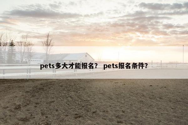 pets多大才能报名？ pets报名条件？