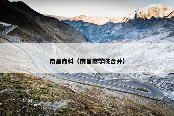 南昌商科（南昌商学院合并）