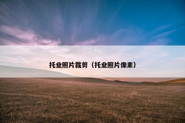 托业照片裁剪（托业照片像素）